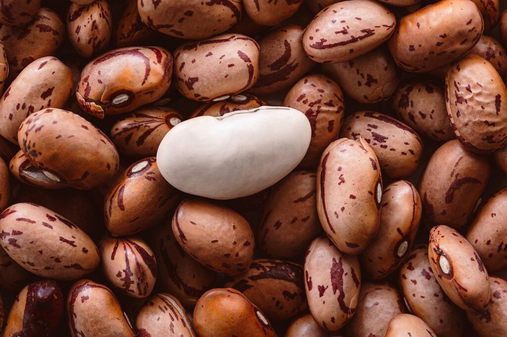 不登校の子どもに効果的な起立性調節障害対策は？