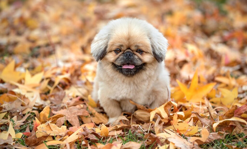 不登校の子どもが通うフリースクールの費用はどれくらいかかる？