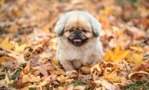 不登校の子どもが通うフリースクールの費用はどれくらいかかる？