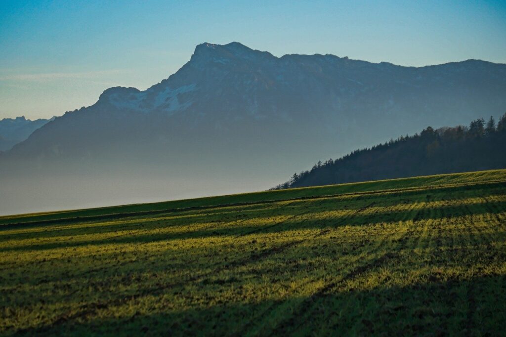 不登校やひきこもりに対する支援の具体例は？