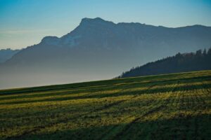 不登校やひきこもりに対する支援の具体例は？