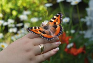 フリースクールでの無料体験はどのように申し込むべき？