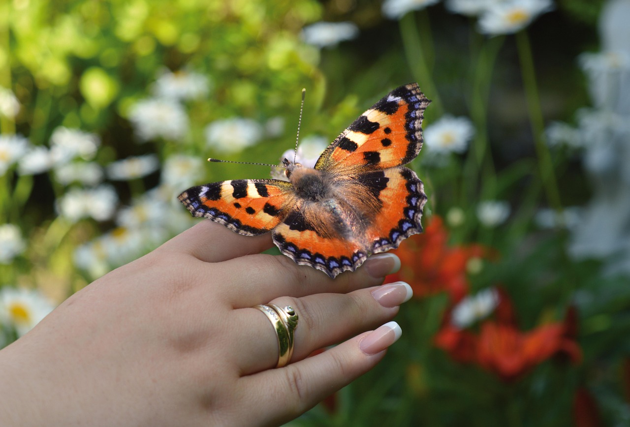 フリースクールでの無料体験はどのように申し込むべき？