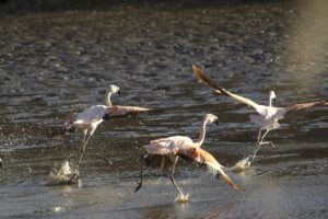 不登校をどうやって克服するための具体的なステップは？