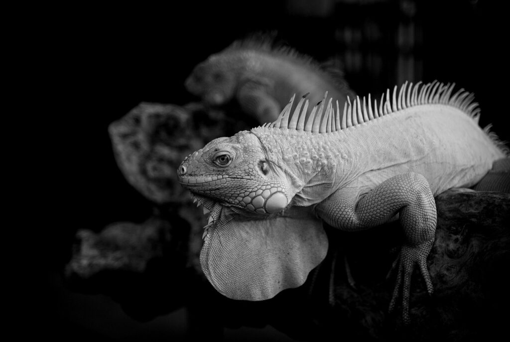 フリースクールの授業形態にはどんな種類があるの？