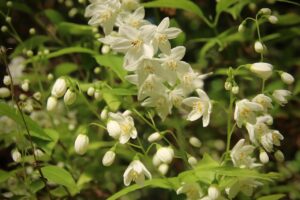 保健室に登校することは可能か？