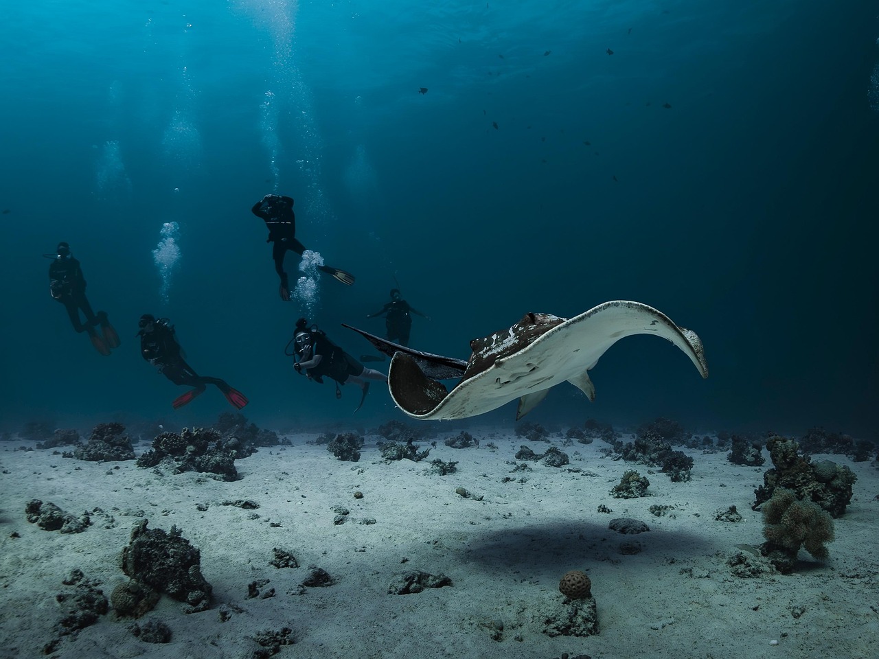 学校での相談に役立つ校外支援の活用方法は？