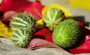 不登校の子どもに最適なフリースクールの無料相談はどこで受けられる？