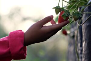 不登校の子供にはどう接するべき？