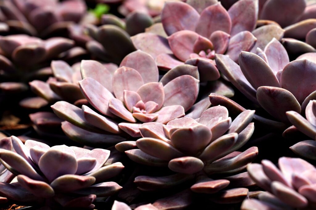 不登校の子供のための親のサポートはどうすればいい？
